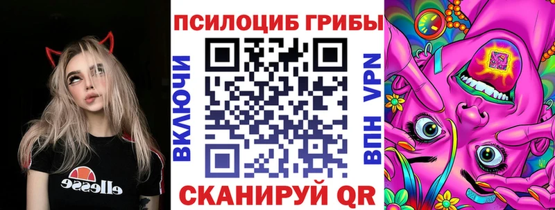 Галлюциногенные грибы мицелий  Купить закладки  Бородино 