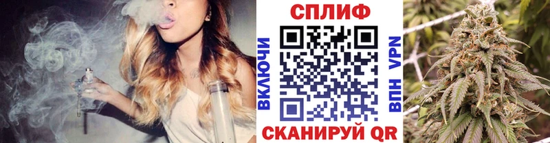Купить  Бородино  Бошки марихуана сатива 